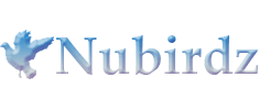 Nubirdz Logo